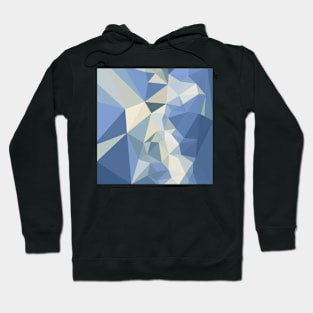 Columbia Blue Abstract Low Polygon Background Hoodie